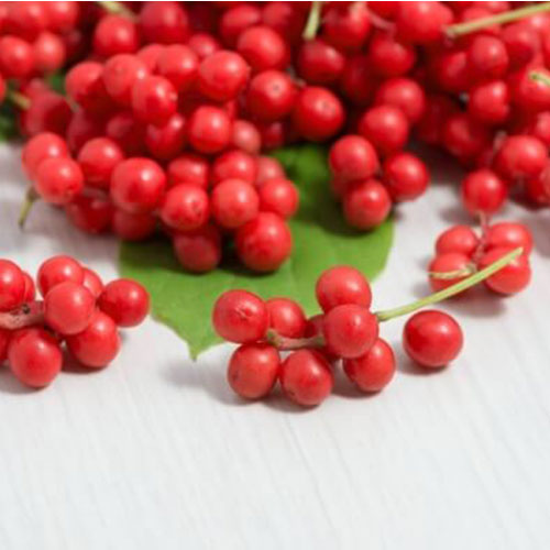 Schisandra-Beeren