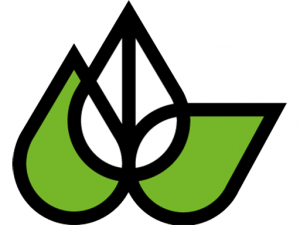 Logo Favicon Flavex