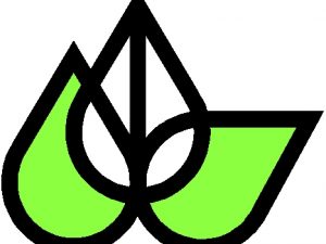 Flavex Logo