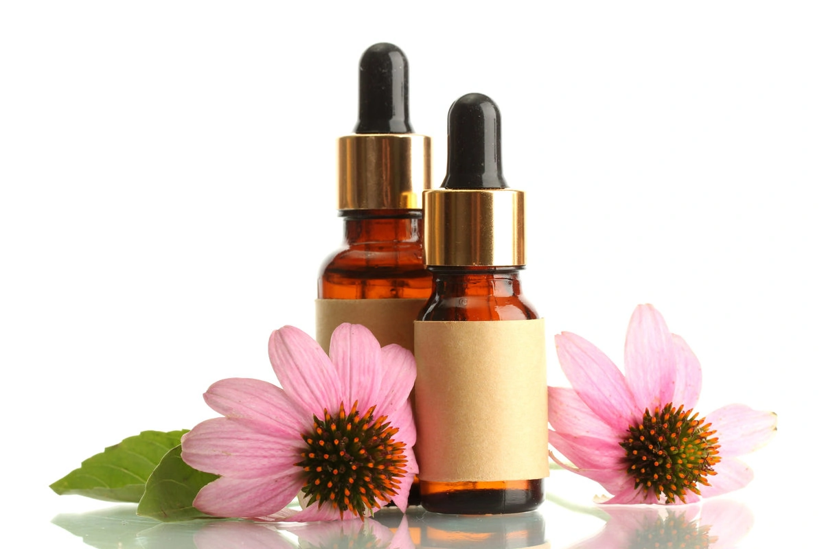 Echinacea Extrakte für die Anwendung in Kosmetik