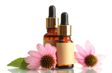 Echinacea_Oel_panthermedia_B1365 Echinacea CO2-Extrakte für hochwertige Kosmetik